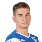 T. van de Looi